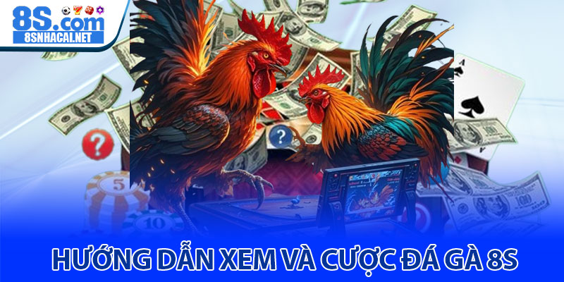 Hướng Dẫn Xem Và Cược Đá Gà 8S 