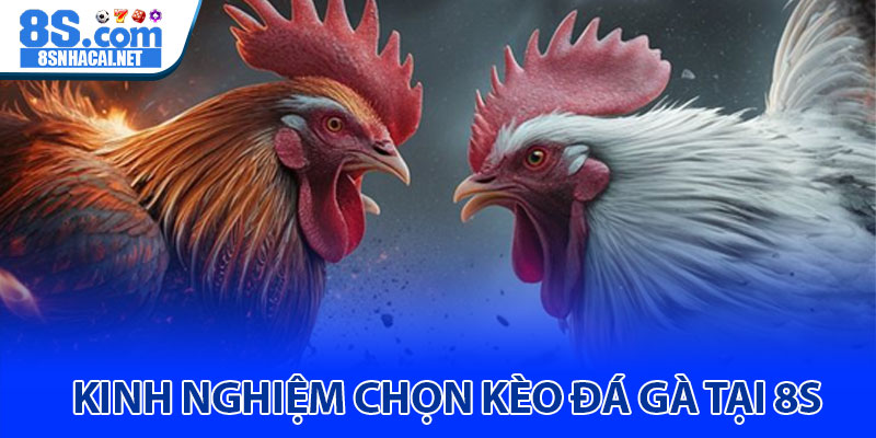 Kinh Nghiệm Chọn Kèo Đá Gà Tại 8s