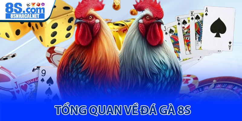 Tổng Quan Về Đá Gà 8S 