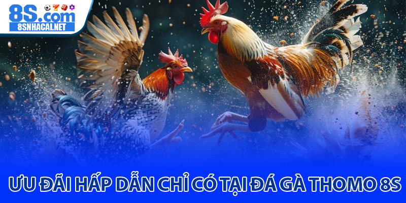 Ưu Đãi Hấp Dẫn Chỉ Có Tại Đá Gà Thomo 8S 